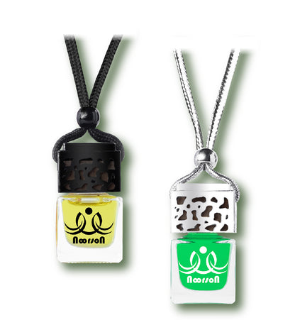 Noorson Orange Green Apple Car Air Freshener Hanging with 100% Natural Essential Oils ( Pack Of 2 )